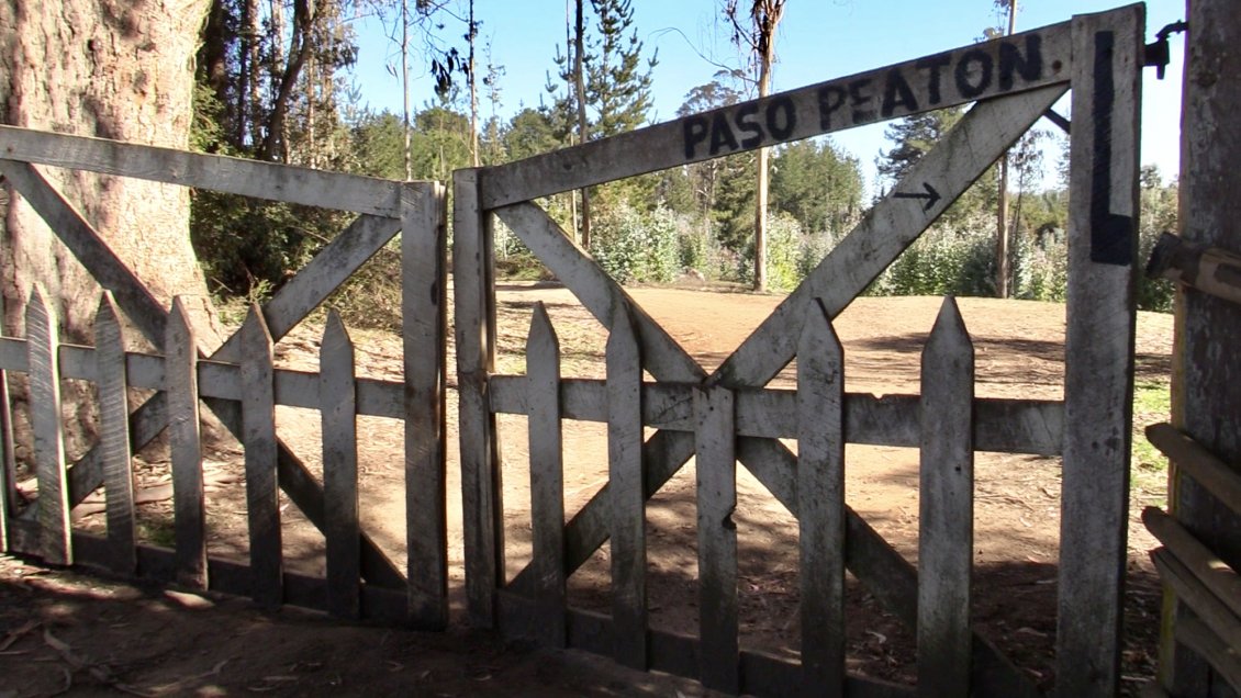 Bienes Nacionales hará informe para clarificar acceso a la playa Mónaco de Pichilemu