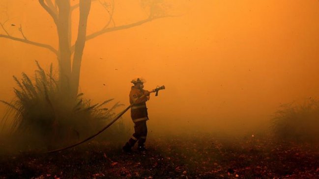 Más de 100 incendios forestales arden en Australia