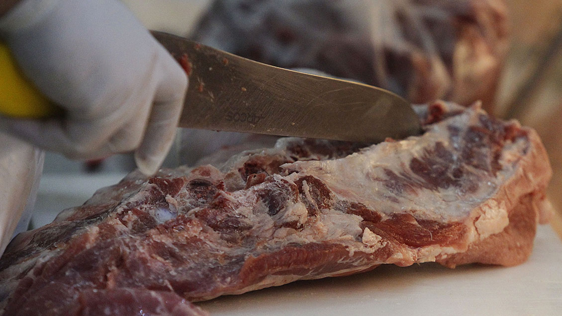 Ñuble: Decomiso de carne descompuesta suma 5 toneladas previo a Fiestas Patrias