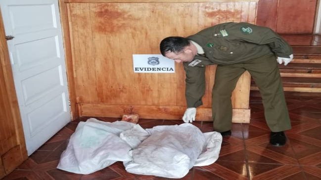 Persecución policial terminó con dos detenidos por robo de ganado en Lago Ranco