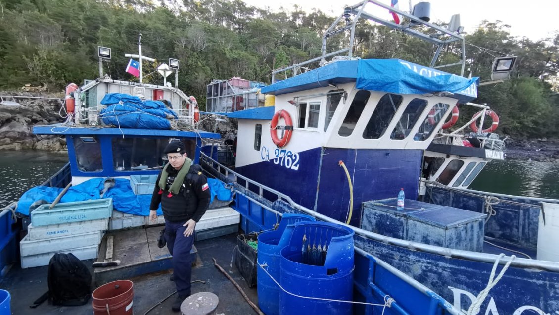 Incautan más de una tonelada de merluza extraída ilegalmente en Aysén