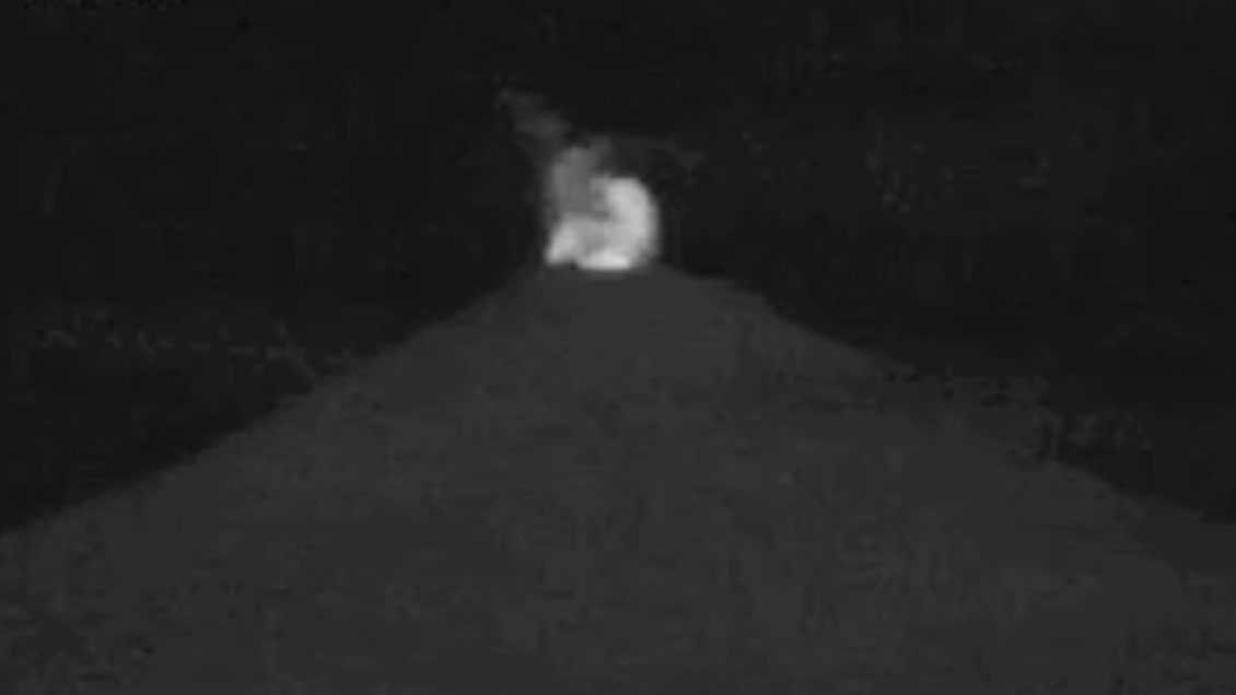 Volcán Villarrica presenta alta incandescencia por aumento de su actividad