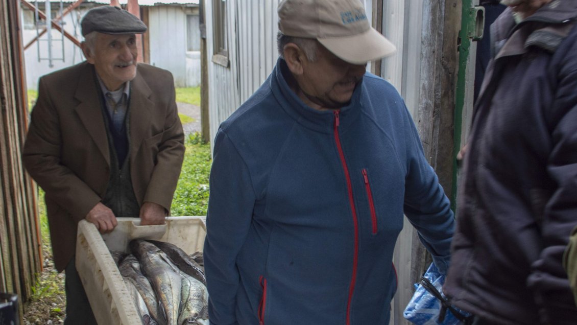 Adultos mayores reciben una tonelada de merluza decomisada en Puerto Cisnes