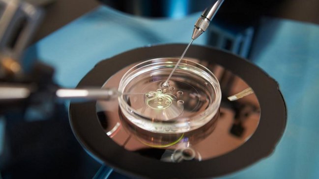 Circular del Minsal obliga a isapres incluir cobertura para fertilización in vitro