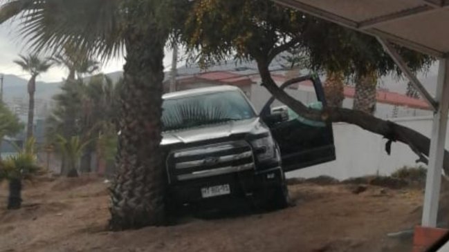 Detienen a hombre que se durmió al volante y chocó con una palmera en Antofagasta