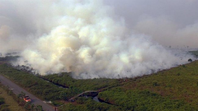 Indonesia investiga a decenas de empresas por incendios en Sumatra y Borneo