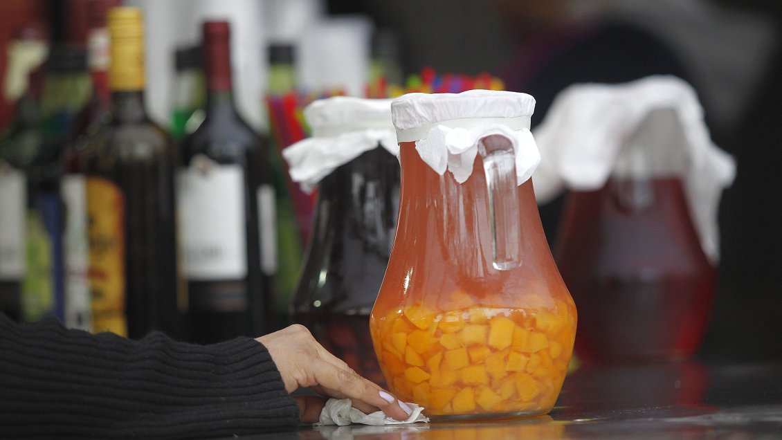 Talca busca combatir las 