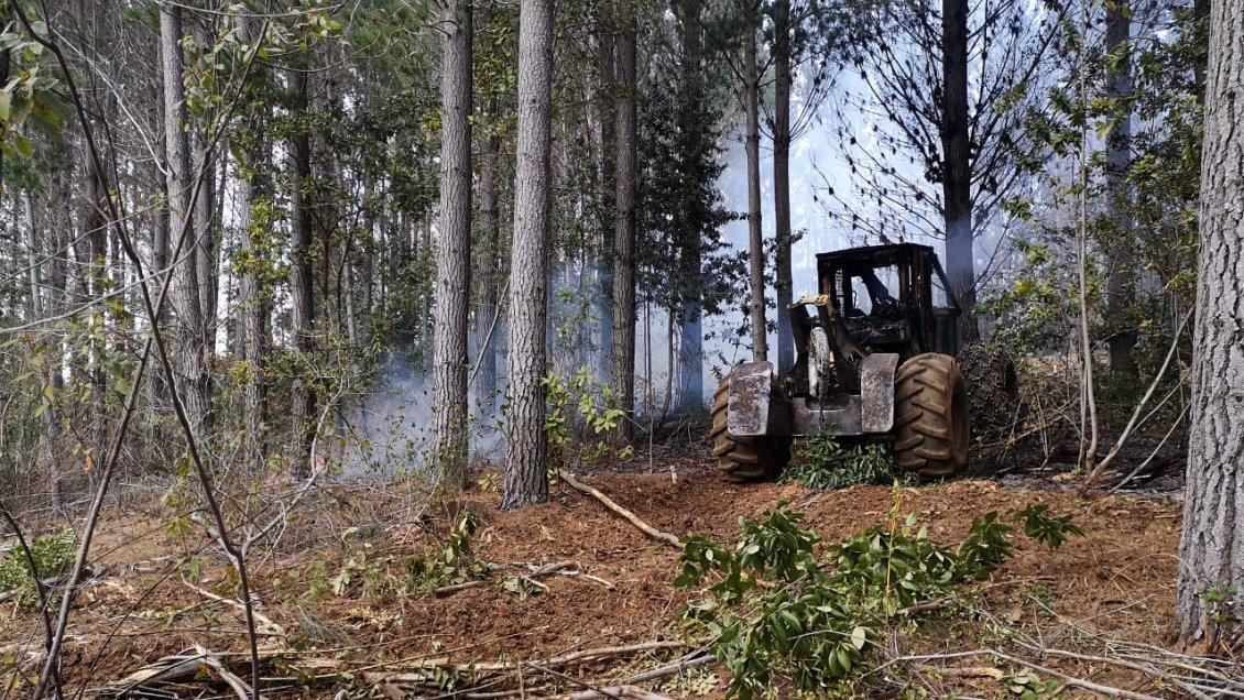 Corte de Concepción rechazó recurso de contratistas forestales por ataques incendiarios