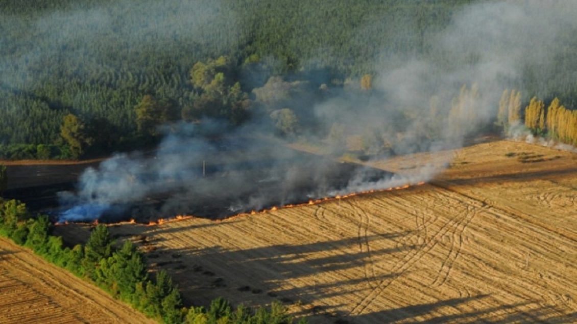 Prohíben quemas agrícolas y forestales en toda la Región del Biobío
