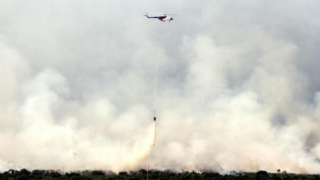 El humo de los incendios ahoga al Sudeste Asiático
