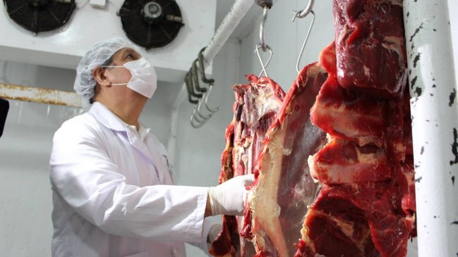 Más de una tonelada de alimentos fueron decomisados en la previa a Fiestas Patrias en La Araucanía