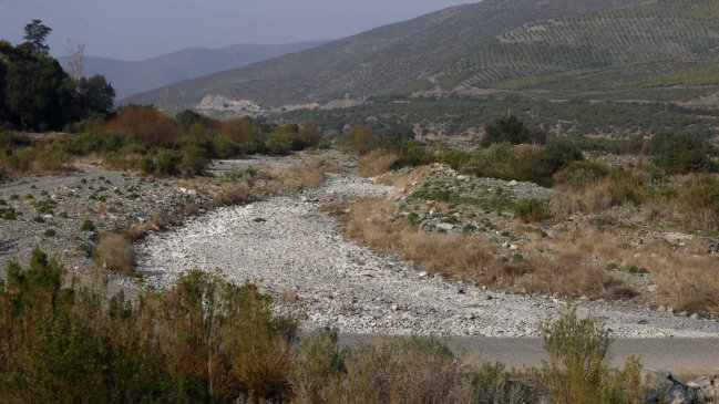 Alcalde de Petorca pidió prohibir la plantación de paltos y cítricos en su comuna