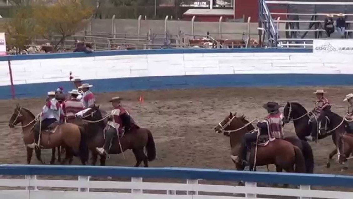 Amenazas preocupan a regentes de medialuna en Osorno