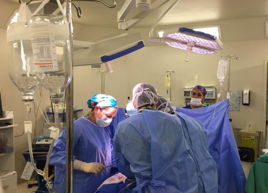 Seis personas se beneficiarán con cuarta procuración de órganos en el Hospital de Chillán