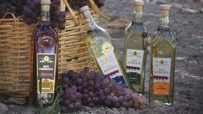 Pisco de Alto del Carmen ganó dos medallas en competencia mundial de destilados