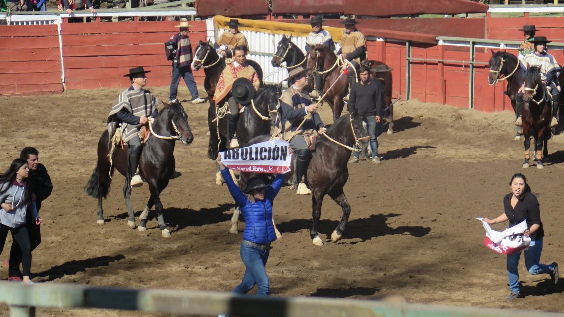 Funa al rodeo de la Fiesta de la Chilenidad terminó con 20 detenidos
