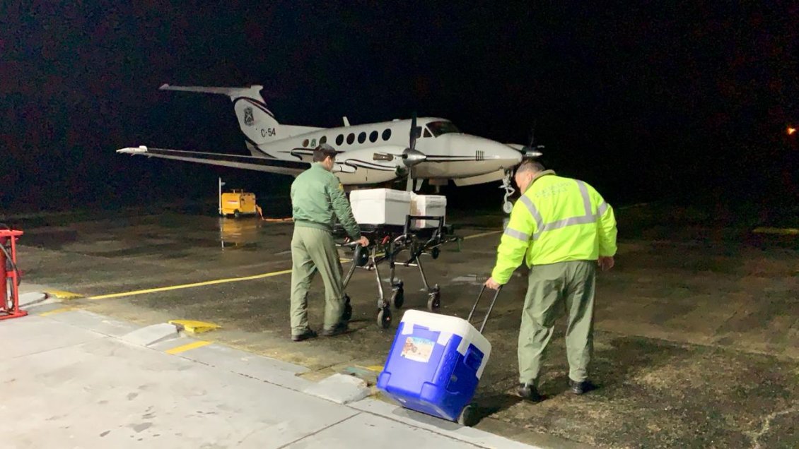 Su donante fue una menor de 12: Niña de ocho años fue trasplantada de hígado