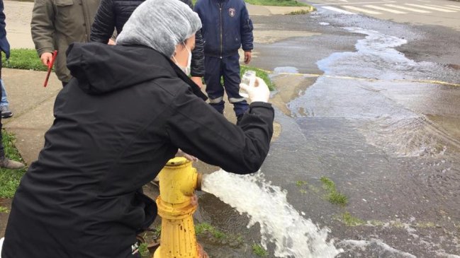 Comienza la toma de muestras de agua en la Villa de Puerto Octay