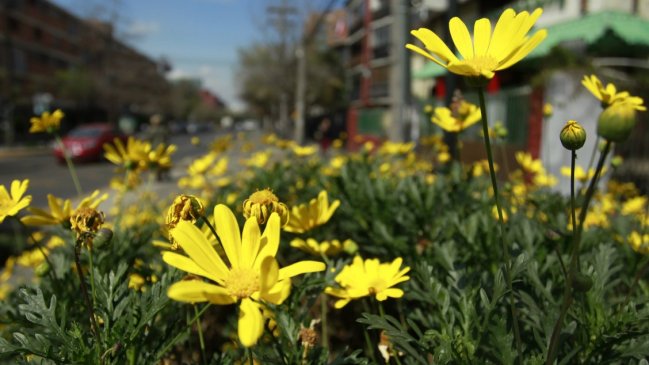 ¿Cuándo comenzará oficialmente la primavera este año?