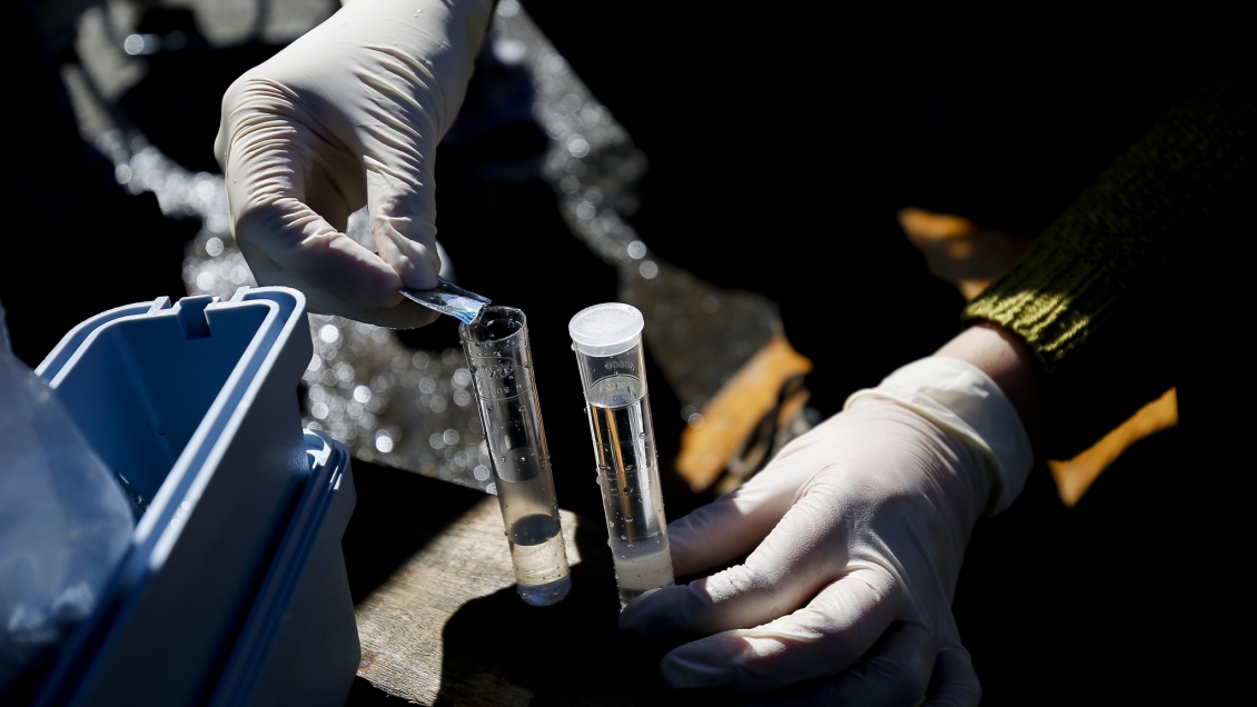 Tras 12 días sin agua potable, Puerto Octay espera para el miércoles resultados de muestras