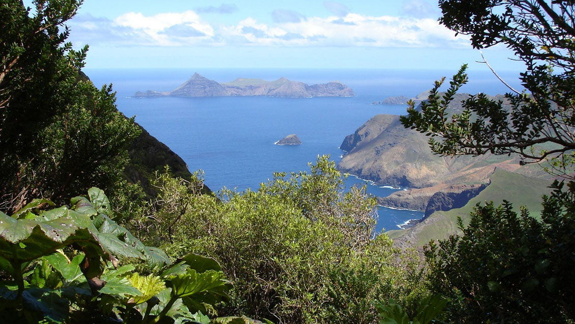 Frente Amplio llevó a Contraloría la polémica por el tesoro de Juan Fernández