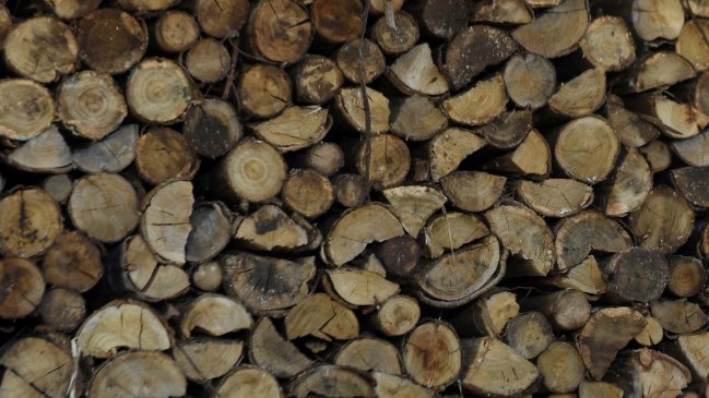 Llevan a juicio a empresaria que prestó facturas falsas para la venta ficticia de madera en Arauco