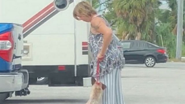 [Video] Mujer que maltrató a su perro en video viral quedó tras las ...