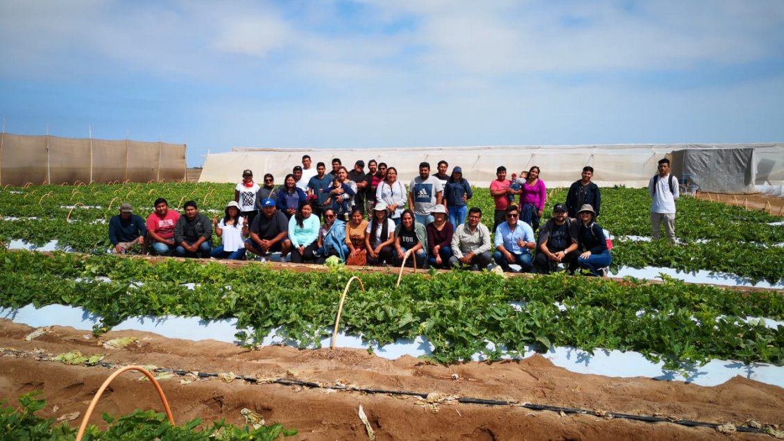 Jóvenes de Arica y Parinacota recibieron financiamiento para mejorar sus iniciativas agropecuarias