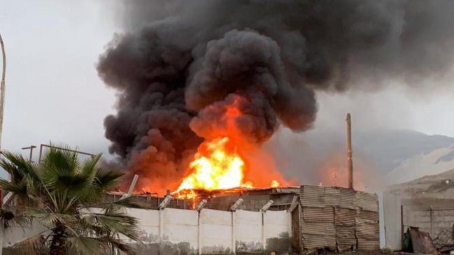 Dos incendios afectaron al mismo sitio durante esta mañana en Antofagasta