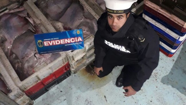Armada incautó más de una tonelada de mantarraya extraída de manera ilegal