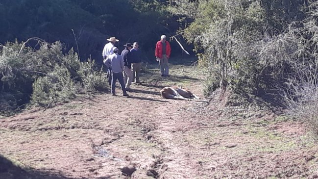 Comisión de la Cámara investigará accionar de ministerios en la megasequía y cambio climático