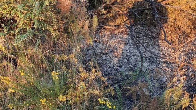 Dalcahue: Bomberos detectaron intenso olor a azufre donde cayó la 