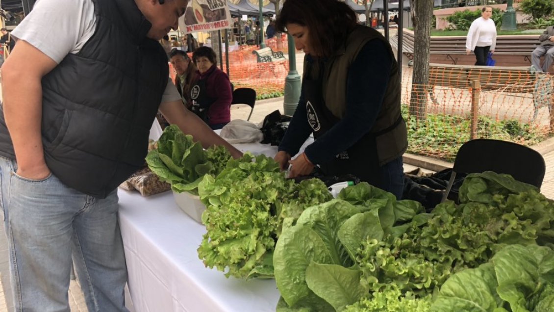 Presentan primer mercado campesino de O'Higgins