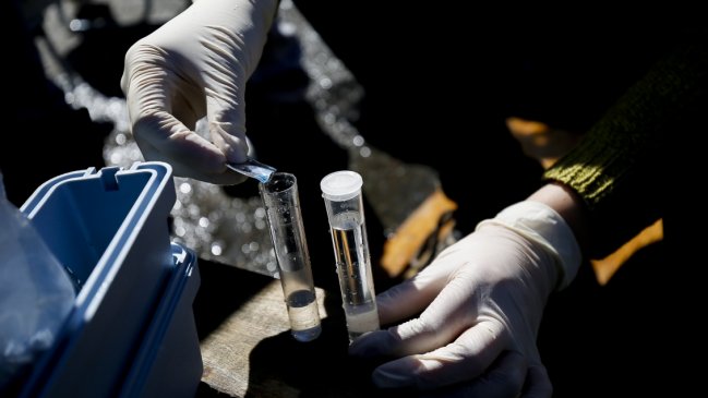 Seremi de Salud toma muestras de agua en zonas afectadas por cenizas del volcán Chillán