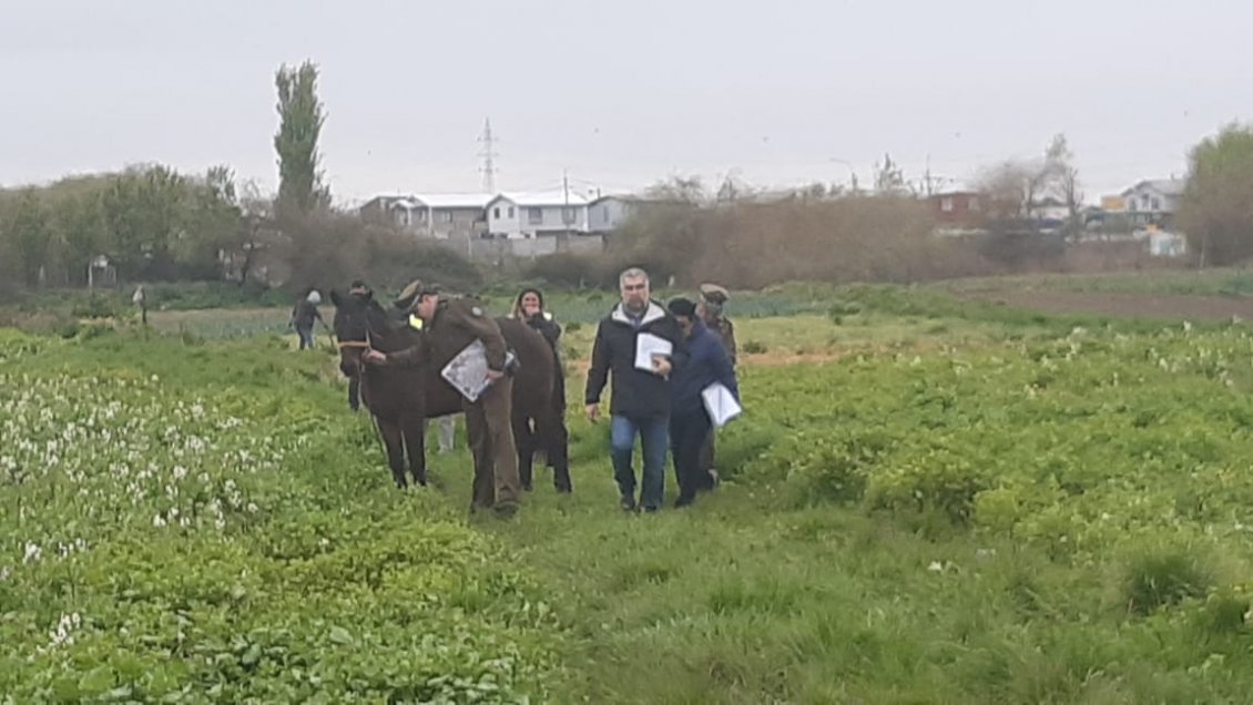 Con carabineros, el MOP tomó posesión de terrenos de horticultores para Puente Industrial en San Pedro de la Paz
