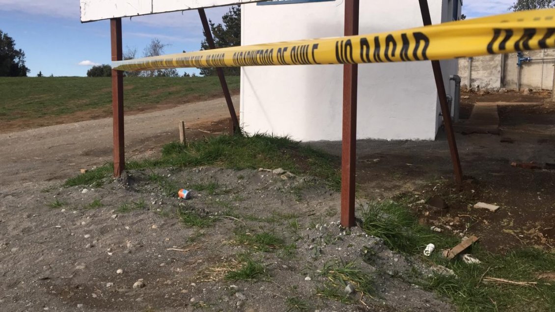 Para el lunes se espera que llegue el agua a todos los hogares de Puerto Octay