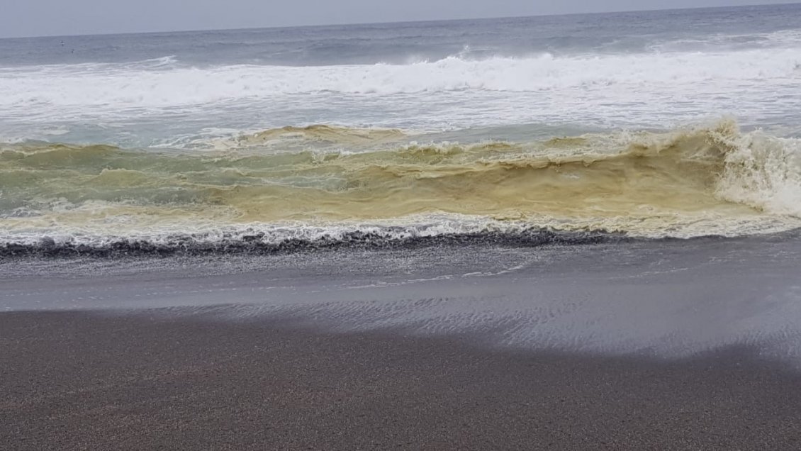 Investigan extrañas 