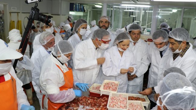 Coquimbo: Más de 18 mil pymes presentan deuda tributaria