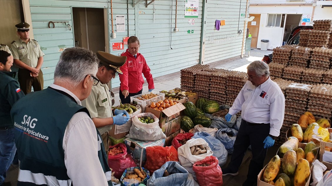 Decomisan más tres toneladas de alimentos riesgosos en la comuna de Huara