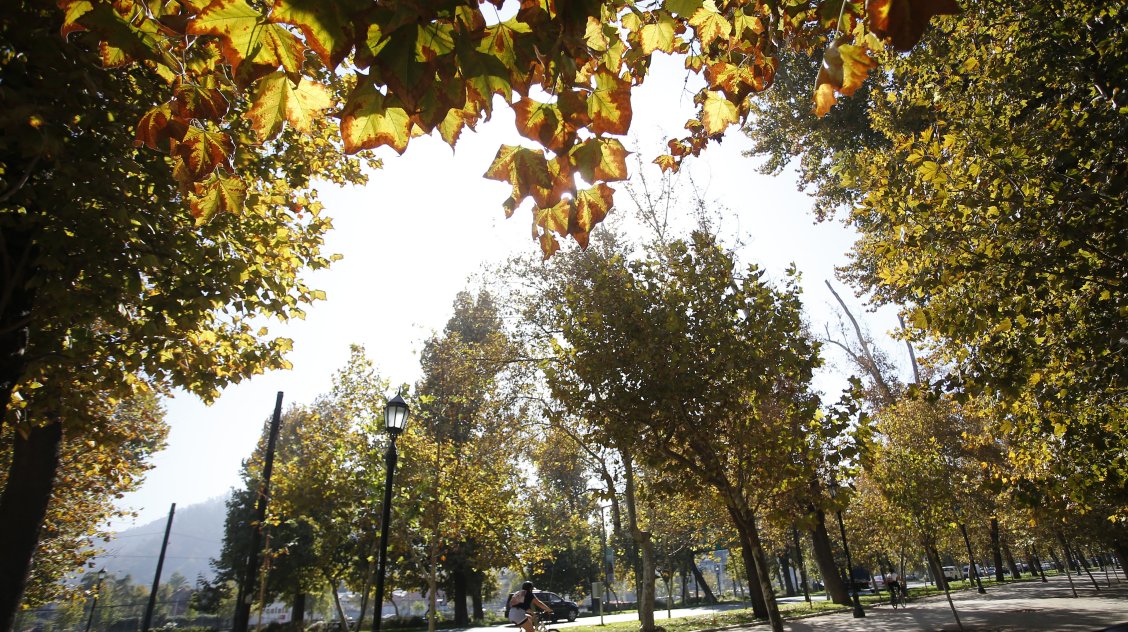 Recoleta se abre como opción por conflicto sobre estación de Metro en Parque Forestal