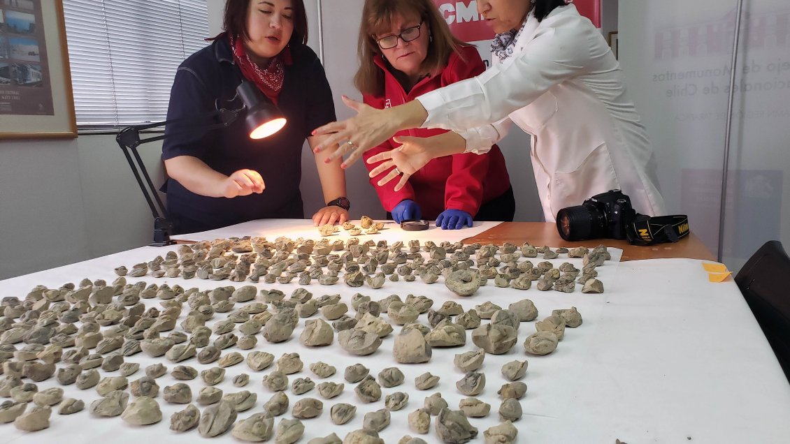 Recuperan más de 500 fósiles que pretendían ser sacados del país en una encomienda