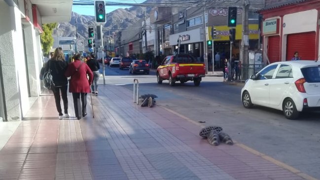 Retiran parte de la ciclovía del centro de Copiapó por cambios en el tránsito