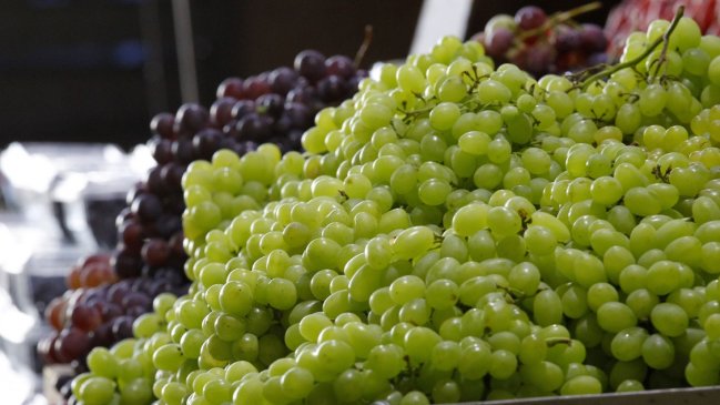 Agrotech Maule reunió a proveedores de tecnologías con el agro