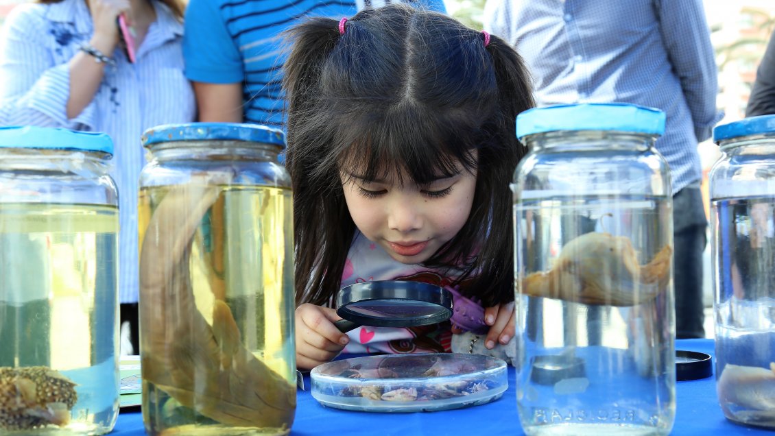 Antofagasta celebrará el Día Nacional de la Ciencia con actividades en la Plaza Bicentenario