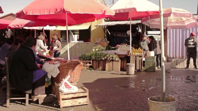 Servicio País hará primer catastro a feria libre de Lota