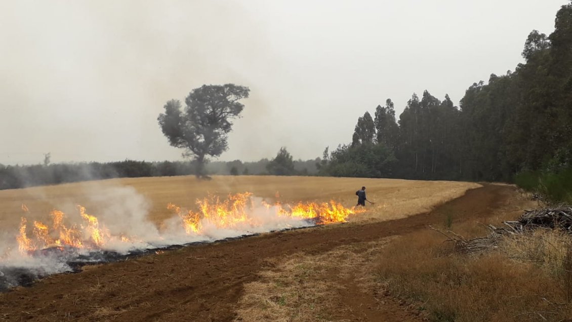 Anciano falleció por inhalación de humo en quema de pastizales en Chillán