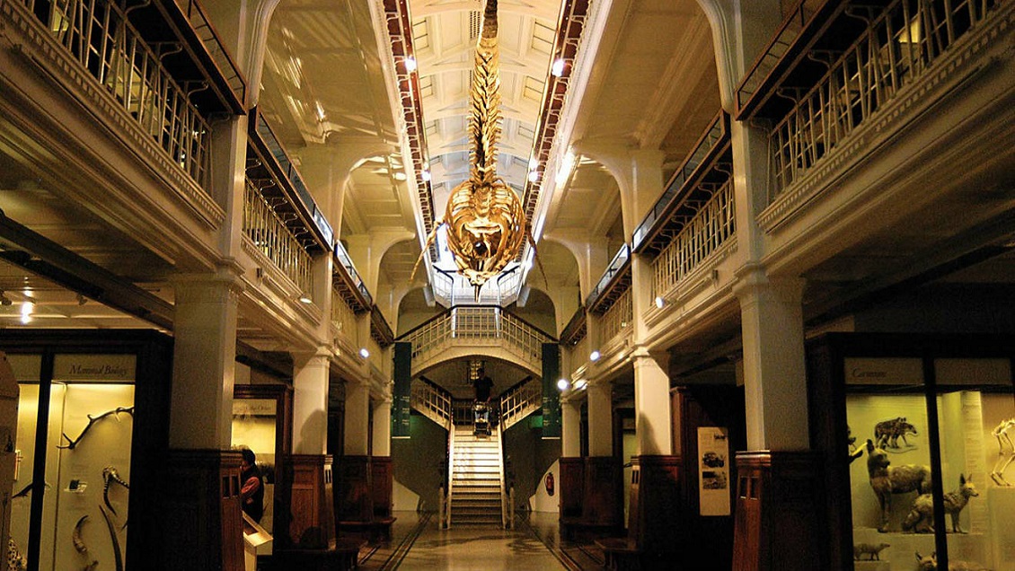 Museo de Manchester decide devolver objetos indígenas a Australia