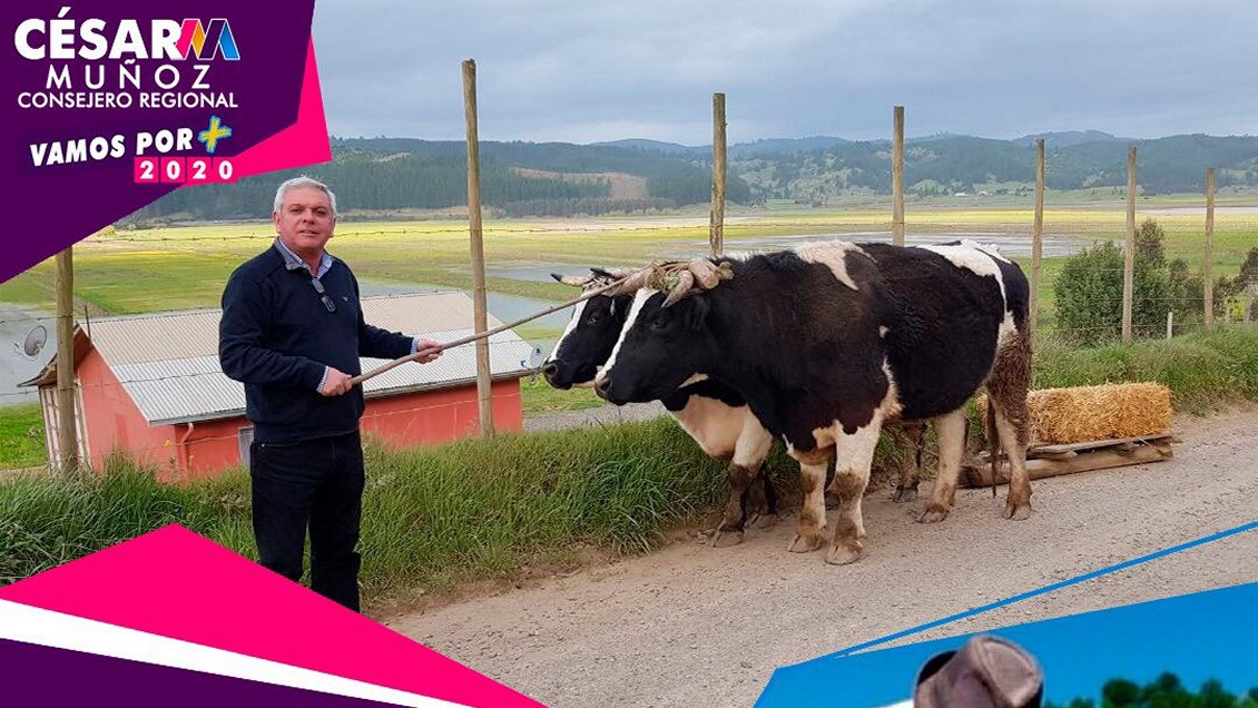 La UDI ya tiene a su candidato a gobernador regional para el Maule