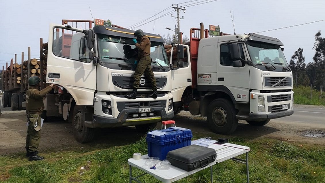 Camionero baleado en Cañete fue trasladado a Concepción: Sigue grave, pero estable