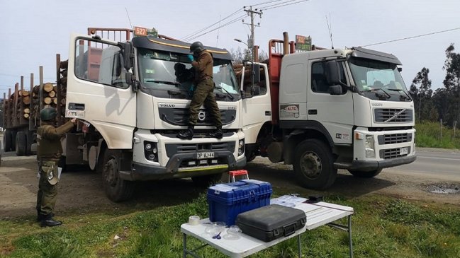 Camionero baleado en Cañete fue trasladado a Concepción: Sigue grave, pero estable